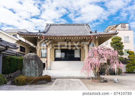 Zentokuji Temple in Miyoshi, Koto Ward 87410780