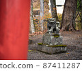 A guardian dog staring at the torii and here 87411287
