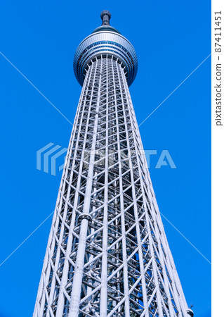 從正下方仰望東京天空樹 87411451