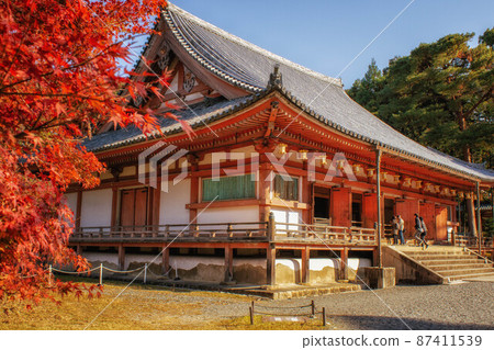 Kyoto in autumn, the main hall of Daigoji Temple and the autumn leaves are beautiful scenery 87411539