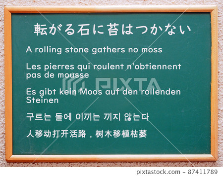 Universal truth (no moss on rolling stones) 87411789