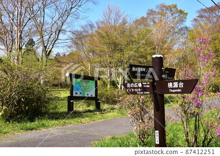 Hakone Town Hakone Visitor Center walking path, directions and fresh greenery 87412251