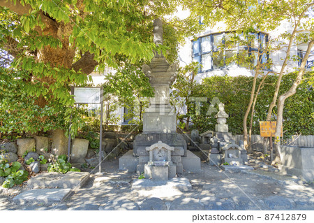 Hatakeyama Shigeyasu's tomb, mansion ruins Hatakeyama Shigeyasu's tomb, mansion ruins 87412879