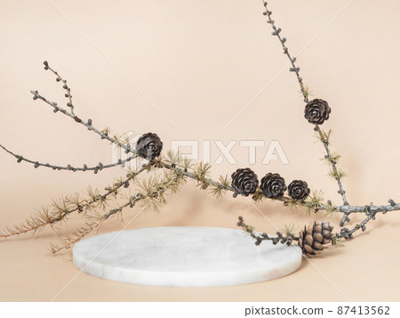 Marble white round podium and larch branch on beige background 87413562
