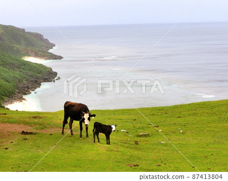 Bison parent and child Bison parent and child 87413804