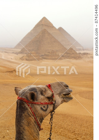 金字塔和駱駝 2 87414496