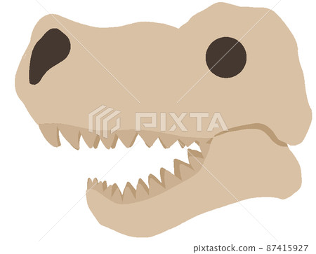 霸王龍頭骨 87415927