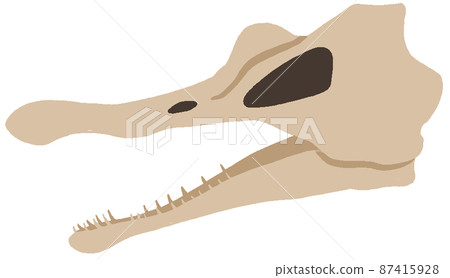 Dinosaur skull 87415928