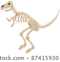 暴龍骨架 87415930
