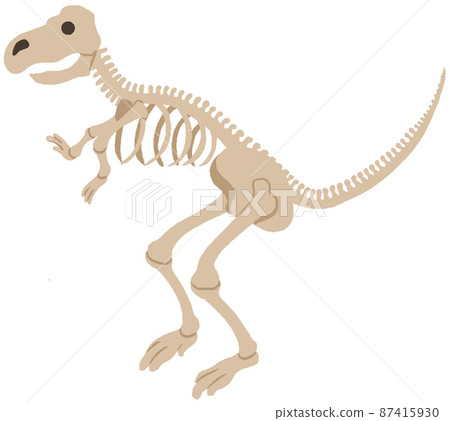 Tyrannosaurus skeleton Tyrannosaurus skeleton 87415930