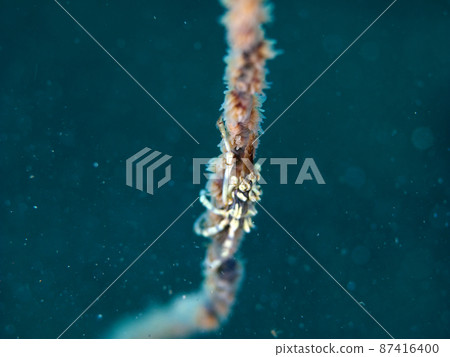 Iboisobanagani 87416400