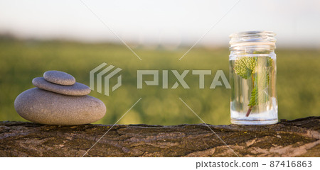 Pyramid of the small pebbles and fresh herb. Copy speace Pyramid of the small pebbles and fresh herb. Copy speace 87416863