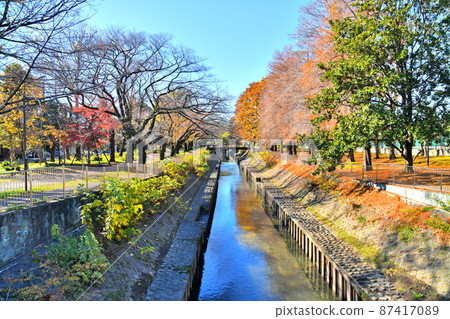 善福寺川綠地/天王橋/善福寺川上游（東京都杉並區）[2021.12] 87417089