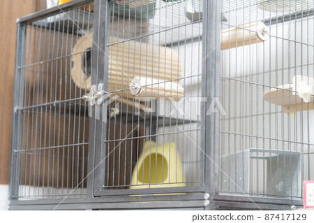 Cage for small animals Cage for small animals 87417129