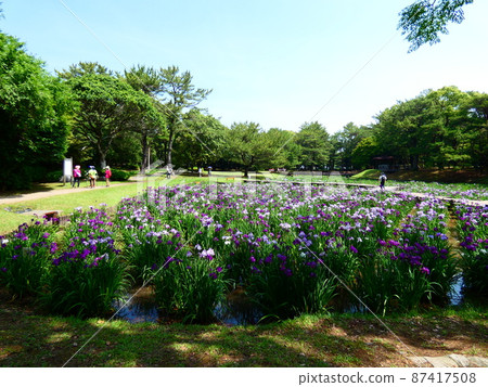 Lake Pond Lake Pond 87417508