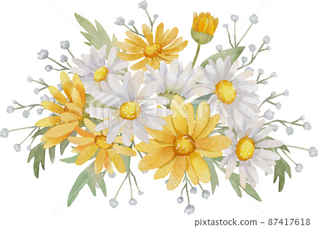 Watercolor Daisy Flower Watercolor Daisy Flower 87417618