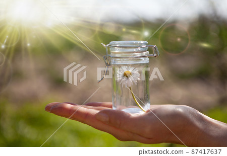 Homeopathy on the palm of your hand. 87417637