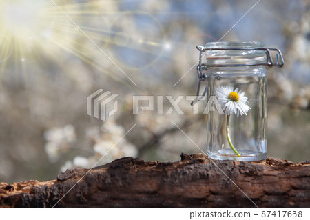 BACH therapy and phytotherapy - health in a bottle.  87417638