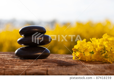 Harmony and balance - speace for text. Harmony and balance - speace for text. 87418159