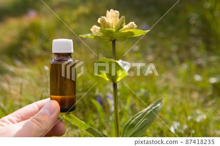 Homeopathy. Herbal extracts in small bottles. Selective focus. 87418235