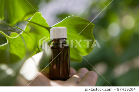 Gonkgo leaves and extract - place for your text. 87419204