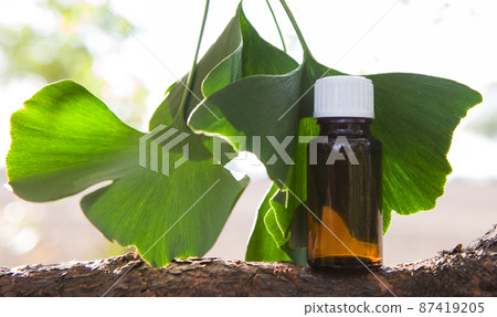 Ginkgo essential extract in a bottle and fresh leave. Ginkgo essential extract in a bottle and fresh leave. 87419205