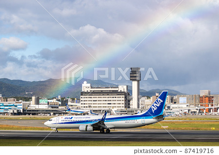 Passenger plane landing at Osaka Airport, ANA, Boeing 737 87419716