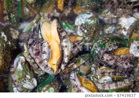 Live Abalone is a stamina food. 87419837