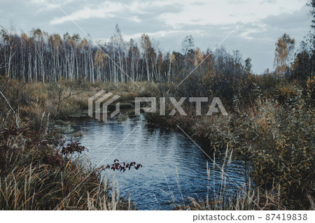 Perehod tourist trial, Poleski national park, Polesie, Poland. Perehod tourist trial, Poleski national park, Polesie, Poland. 87419838