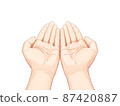 雙手呈現 87420887