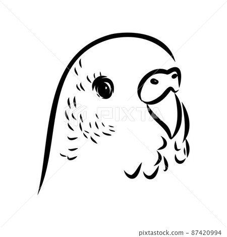 A cute budgie sits on a perch. Vector sketch illustration for design, advertising, prints. 87420994