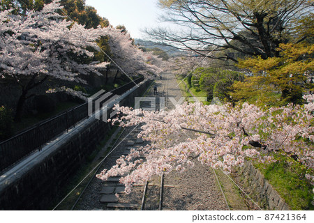 Spring Lake Biwa Canal, Sakyo Ward, Kyoto City 87421364