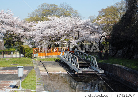京都市左京區春琵琶湖運河 京都市左京區春琵琶湖運河 87421367