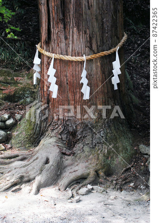 滋賀縣大津市日吉大社神社新北坂本 滋賀縣大津市日吉大社神社新北坂本 87422365