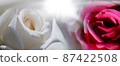 玫瑰 玫瑰花 花朵 87422508