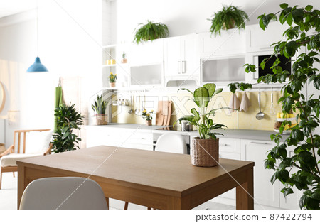 Stylish kitchen interior with green plants. Home decoration 87422794