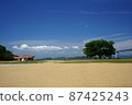 Saya Island 87425243