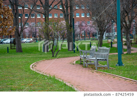 Spring park promenade and benches Spring park promenade and benches 87425459