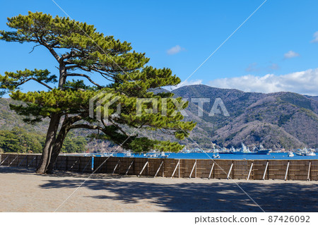 春天藍天的戶田風景和美麗的大海戶田，沼津市 87426092