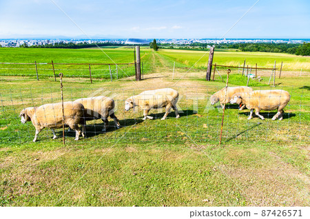 Hokkaido Sapporo City Sapporo Hitsujigaoka Observatory 87426571