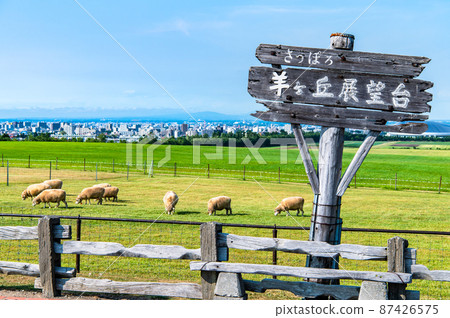 北海道札幌市札幌羊之丘展望台 北海道札幌市札幌羊之丘展望台 87426575