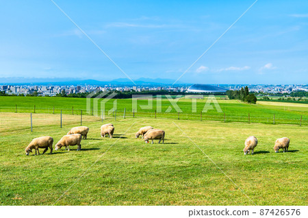 Hokkaido Sapporo City Sapporo Hitsujigaoka Observatory Hokkaido Sapporo City Sapporo Hitsujigaoka Observatory 87426576