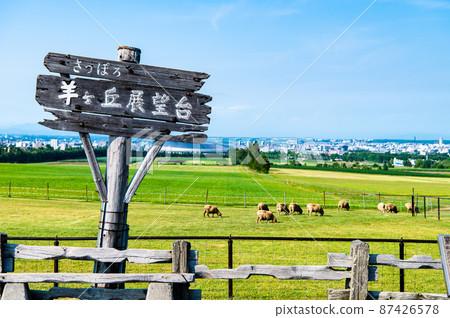 Hokkaido Sapporo City Sapporo Hitsujigaoka Observatory 87426578