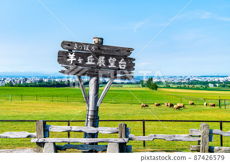 Hokkaido Sapporo City Sapporo Hitsujigaoka Observatory 87426579