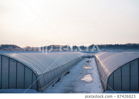Sub-zero morning greenhouse Hokkaido Sub-zero morning greenhouse Hokkaido 87426823