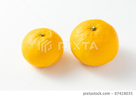 Mandarin oranges_summer oranges 87428035