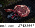 Vegetables and meat on the grill on hot coals with smoke 87428667