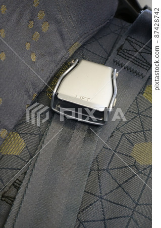 seat belt buckle 87428742