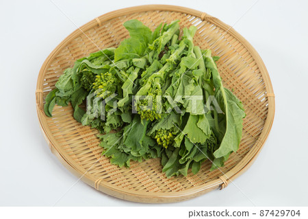 濾鍋上的油菜花 87429704