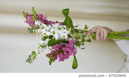 Vertical video. Close-up of a woman's hand holding Levkoy flowers. Flowers 87429940